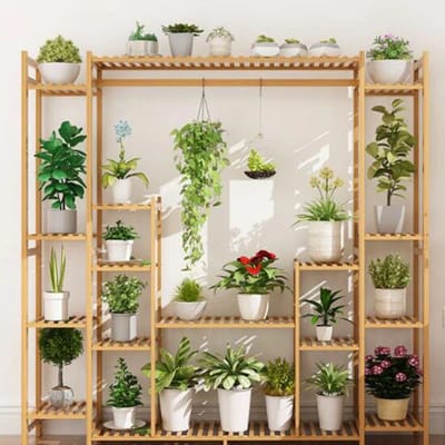 Beverly Hills Loving Care