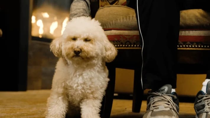 Aegis Living Corte Madera