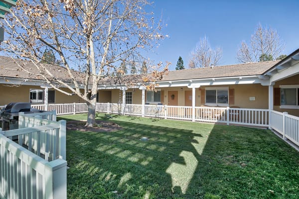 Outdoor courtyard with tree and pathway