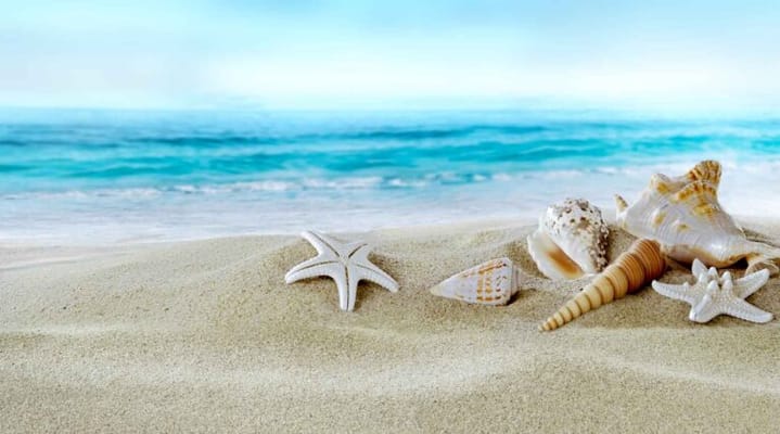 Sun and Sea Assisted Living