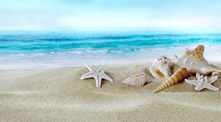 Sun and Sea Assisted Living