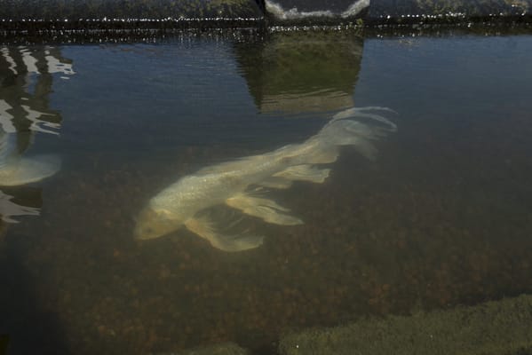 Meadowbrook Village Christian