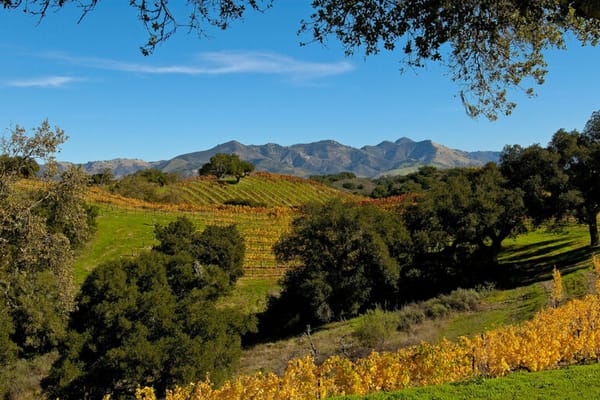 Solvang Friendship House