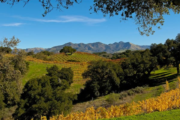 Solvang Friendship House