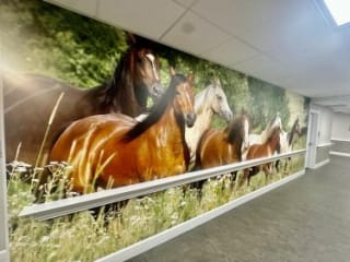 Summerset Lincoln Assisted Living and