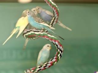 Summerset Lincoln Assisted Living and