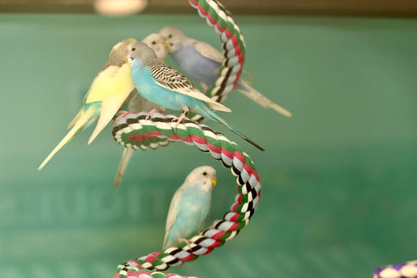 Summerset Lincoln Assisted Living and