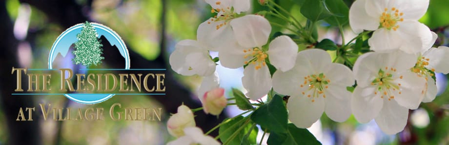 The Residence at Village Green LLC