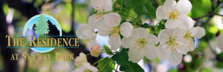 The Residence at Skyway Park LLC