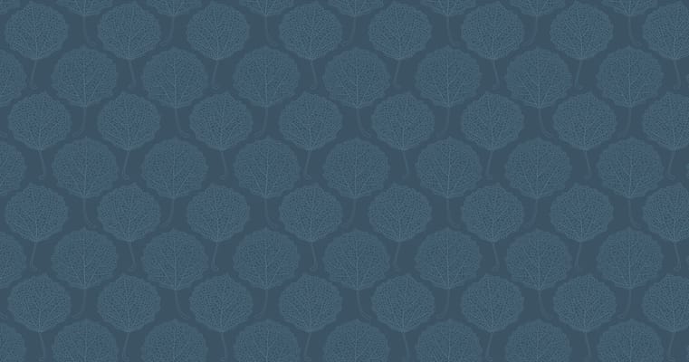 Aspen Leaf Assisted Living-Limon 6Th Co