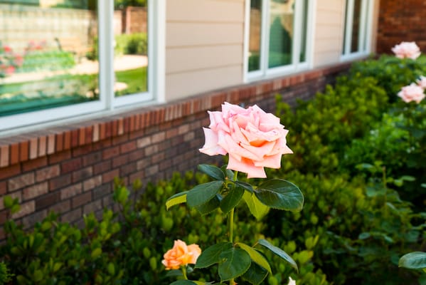 Meadowbrook Village Christian