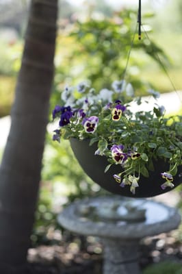 Meadowbrook Village Christian