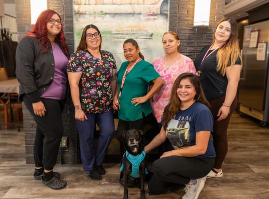 Chateau Des Mons Care and Assisted Living