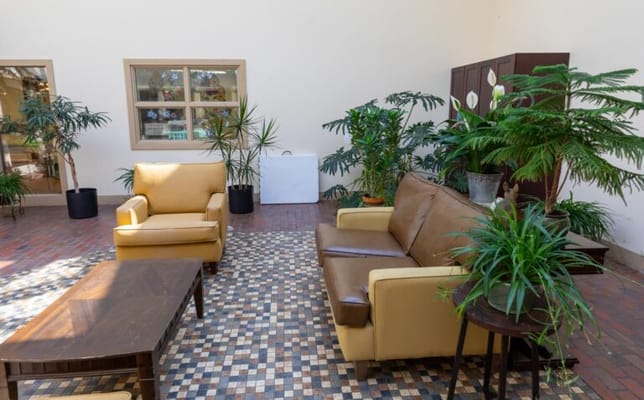 Cozy indoor lounge area with plants and seating