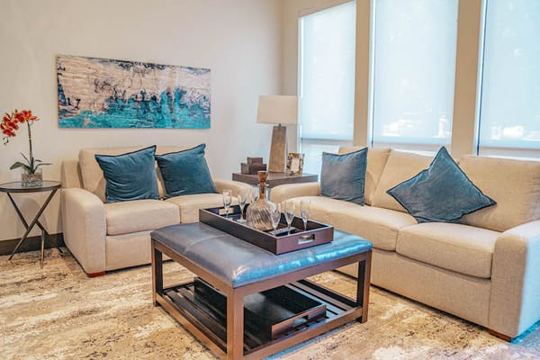 Living room area with seating and decorative elements