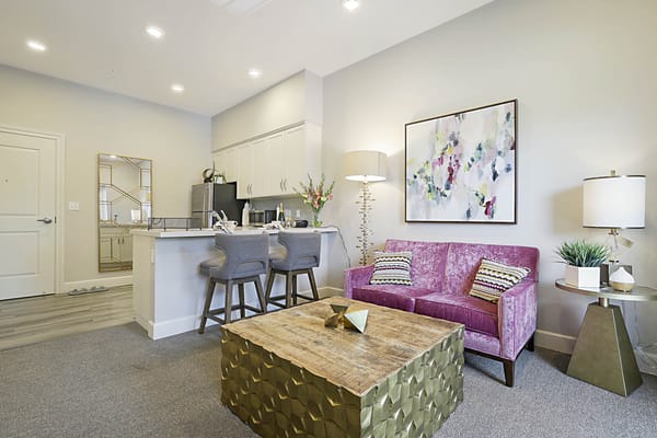 A well-decorated living room in a senior apartment
