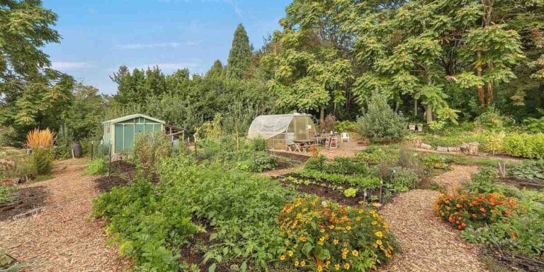 A vibrant garden with flowers and plants in a senior living community.