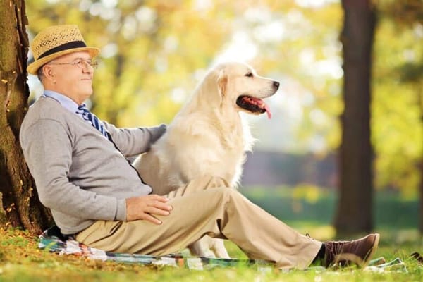 Senior man enjoying a moment with a golden retriever