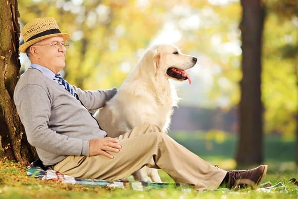 Senior man enjoying a moment with a golden retriever