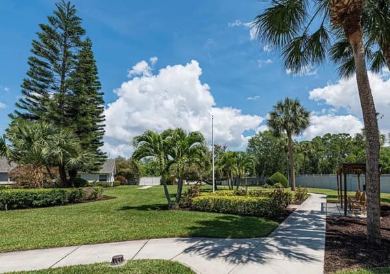 Beautiful outdoor space with palm trees and walking paths