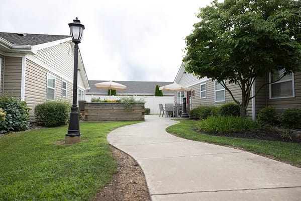 Pathway through a landscaped outdoor area