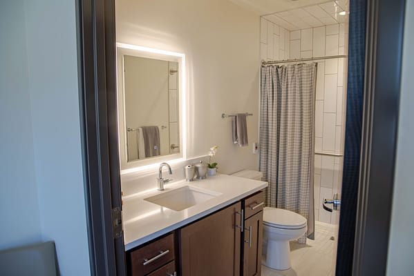 Modern bathroom interior in assisted living facility