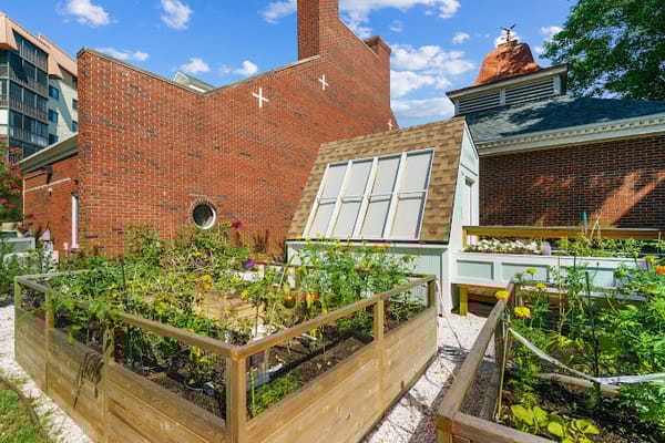 Garden area with colorful flowers and plants