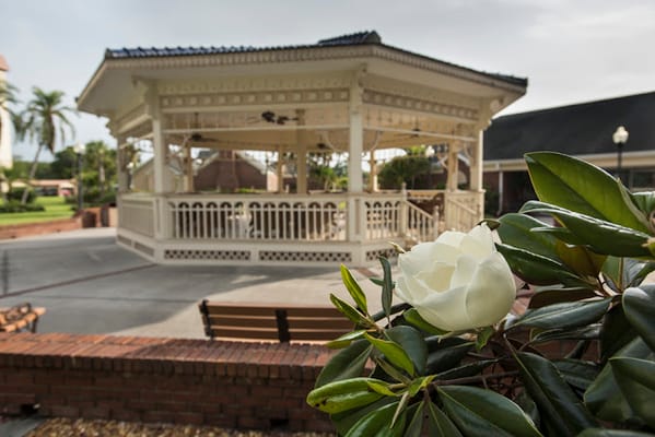 Outdoor gazebo surrounded by greenery and flowers