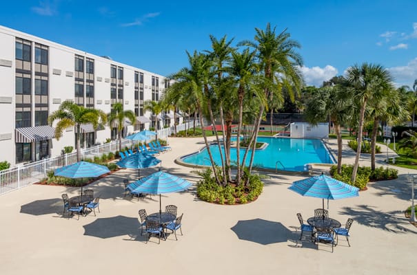Outdoor pool area with palm trees and lounge chairs