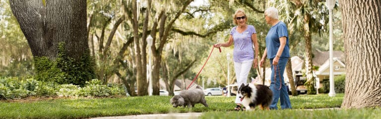 Residents walking dogs in a lush outdoor area