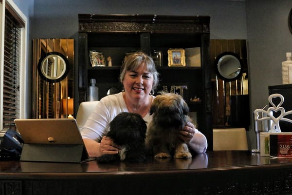 Staff member at a desk with two small dogs