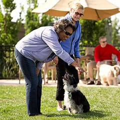 Creekview Assisted Living