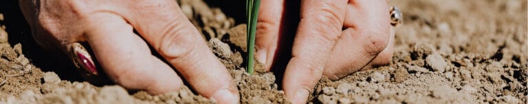 The Grove Assisted Living