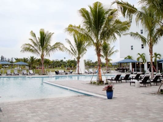Outdoor pool area with palm trees and lounge chairs