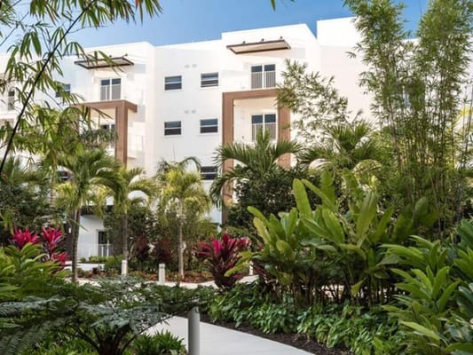 Exterior view of a senior living facility surrounded by greenery