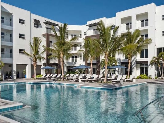 Swimming pool surrounded by palm trees and building
