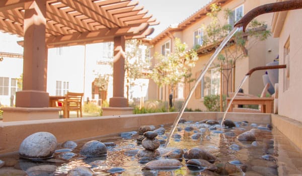 Serene outdoor water feature in a garden setting