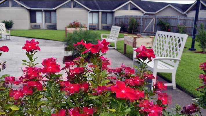 Vibrant flowers in an outdoor area of the facility