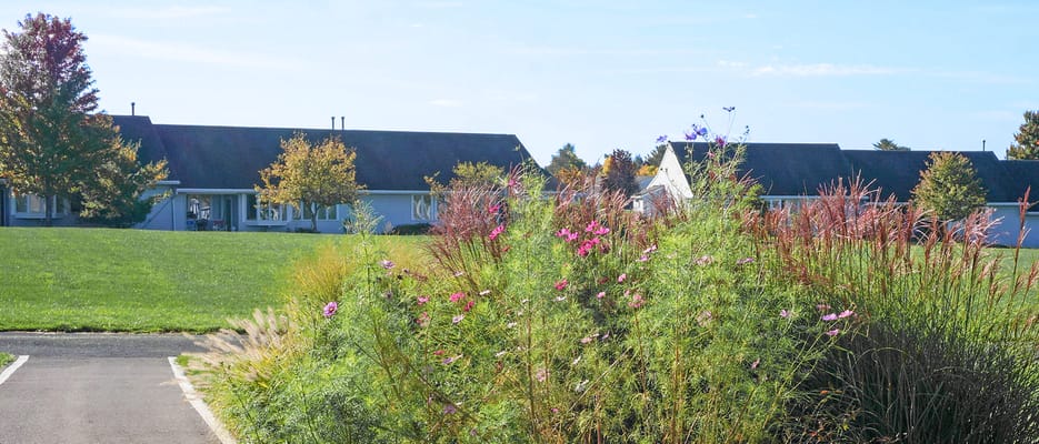Colorful flowers and grass in outdoor space
