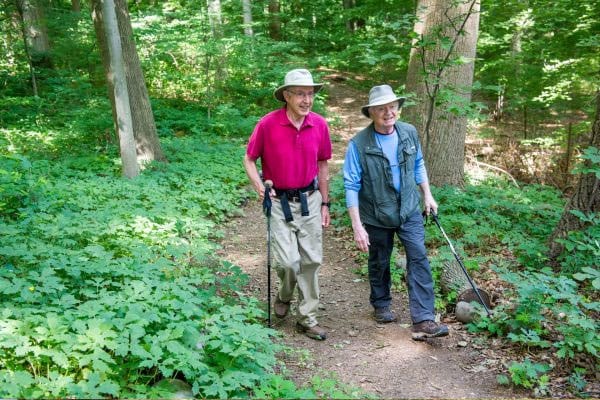 Two seniors enjoying a walk on a forest trail