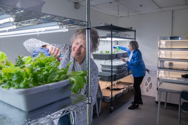 Residents gardening in an indoor activity area