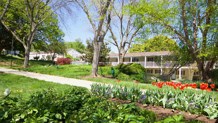 Colorful garden with blooming flowers and walkway