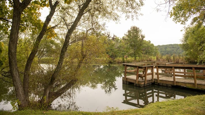 Outdoor view of a serene pond with a wooden dock