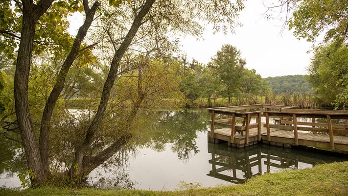 Outdoor view of a serene pond with a wooden dock
