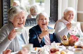 Grand South Senior Living ALF