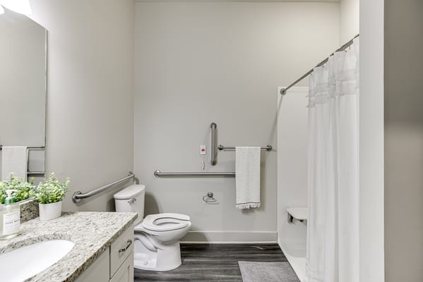 Interior view of a bathroom with grab bars and a shower