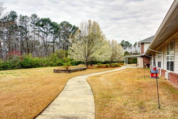 Walking path alongside landscaped area with trees
