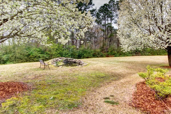 Outdoor view of a serene garden area with flowering trees