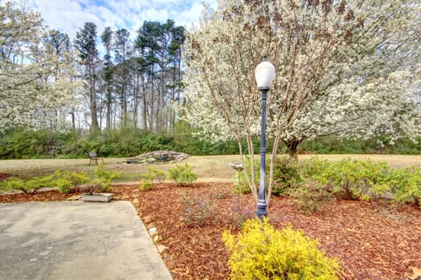 Beautiful landscaped outdoor area with flowering trees