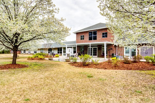 Beautiful outdoor view of Branchwater Village with blooming trees